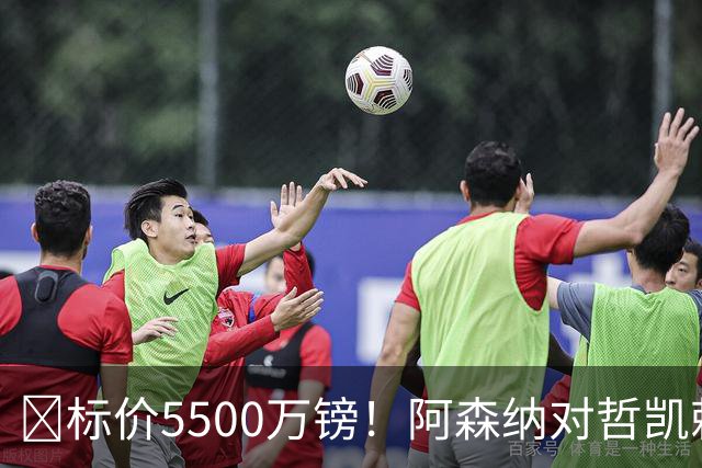 ​标价5500万镑！阿森纳对哲凯赖什敞开出售大门