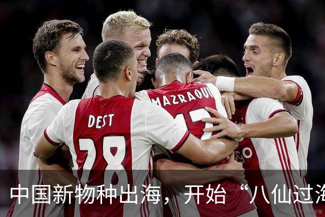 中国新物种出海，开始“八仙过海”