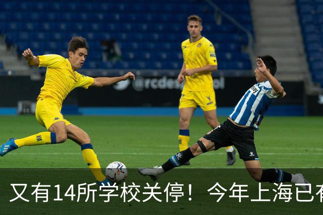 又有14所学校关停！今年上海已有55所学校终止办学，涉及这15区！