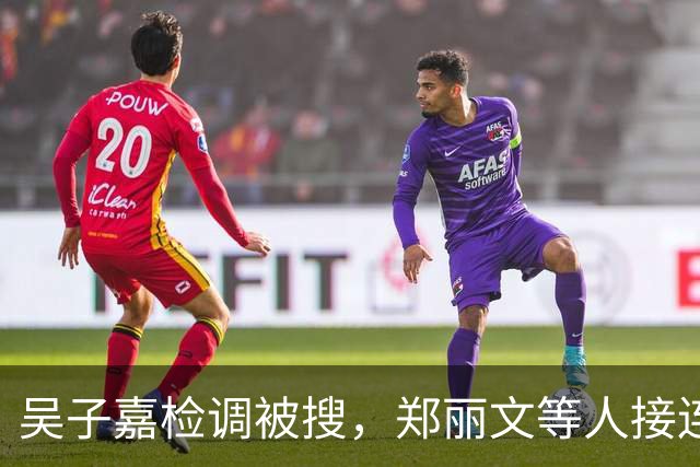 吴子嘉检调被搜，郑丽文等人接连声援，徐欣莹的表态才是重中之重