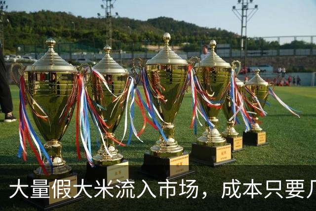 大量假大米流入市场，成本只要几毛钱？提醒：4种大米，劝你别买