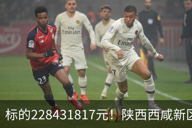 标的228431817元！陕西西咸新区发展集团有限公司新增被执行人记录