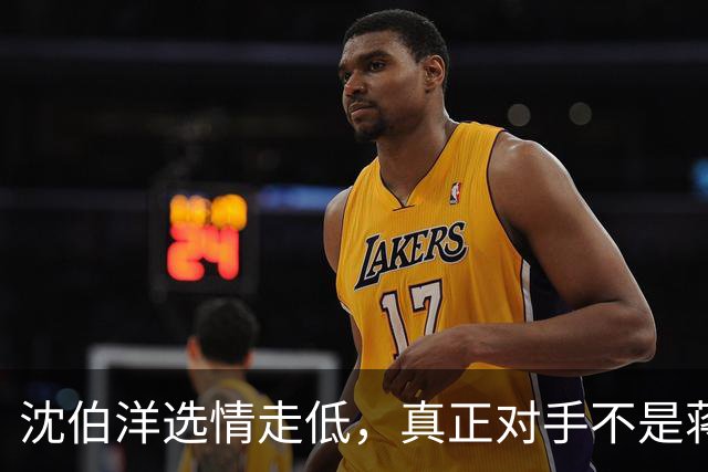 沈伯洋选情走低，真正对手不是蒋万安，也不是大陆，而是赖清德？