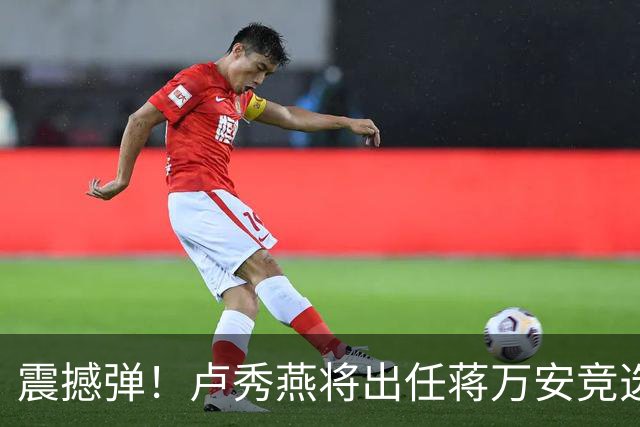 震撼弹！卢秀燕将出任蒋万安竞选总部主委，蓝营祭出姐弟强强联手