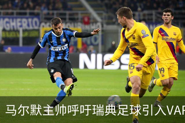 马尔默主帅呼吁瑞典足球引入VAR：瑞典足球会因此受益